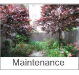 Garden Maintenance